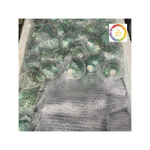 Véritable coque turbo verte du Vietnam, finition brillante polie dans l'océan, parfaite pour l'artisanat d'aquarium ou la décoration intérieure - Product Image 3