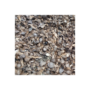 Palm Kernel Shell disponibilidad a granel suministro al por mayor calidad duradera stock envío rápido - Product Image 3