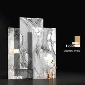 Carreaux vitrifiés de foor de porcelaine de conceptions adaptées aux besoins du client par couleurs vives fabriquant en Inde pour la salle de réunion. - Product Image 1