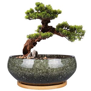 Pot de fleurs moderne en céramique de 8 pouces, émaillé, peu profond, avec trou de drainage <span class=keywords><strong>pour</strong></span> plantes succulentes, et <span class=keywords><strong>soucoupe</strong></span> en bambou <span class=keywords><strong>pour</strong></span> plantes d'intérieur - Product Image 1
