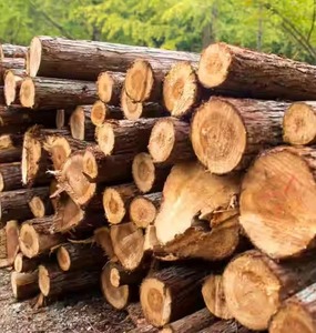 Top Grade Teak <b>Wood</b> Timber Bulk Quality Dry Round Teak <b>Logs</b> Durable Natural Teak <b>Wood</b> <b>Logs</b> Timber for Sale in Best Price - Product Image 1