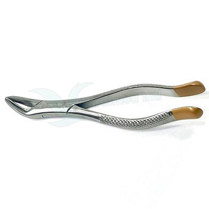 Service OEM Forceps d'extraction dentaire de haute qualité Forceps d'extraction en acier inoxydable - Product Image 3