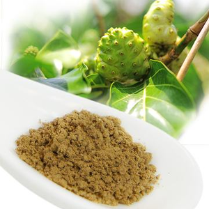 POLVO NONI SECO DE GRADO SUPERIOR/INGREDIENTE PREMIUM DE BIENESTAR/IDEAL para PEDIDOS GRANDES/HECHO en VIETNAM - Product Image 6
