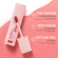 Gloss à lèvres personnalisé, ingrédients liquides à base de plantes, marque privée, végan, hydratant, mat, longue durée, imperméable, formule anti-adhésive, logo