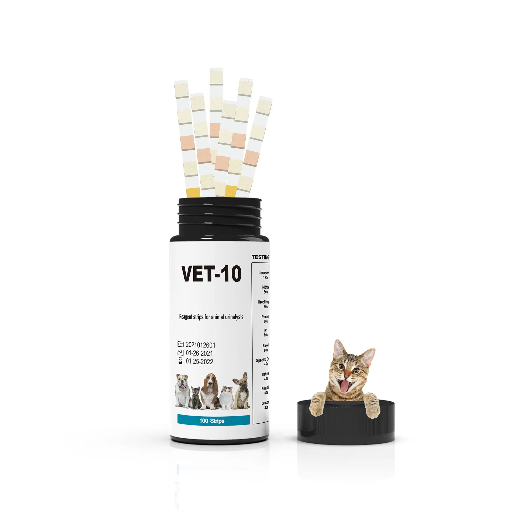 Urinálise Veterinária Vet-10 Pet Tiras De Teste De Urina Para cão e Gato Animais Médicos