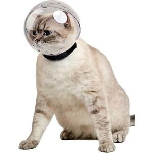 Lavimo per la toelettatura dei gatti
