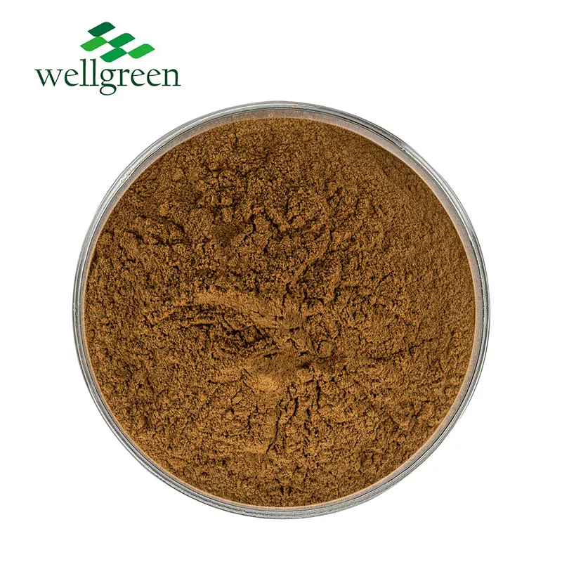 Natural Freeze Dried Sea Buckthorn Fruit Powder Flavonoids Seabuckthorn leaf Extrat