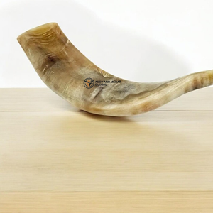 Cuerno de carnero natural, acento decorativo, cuerno de shofar pulido hecho a mano para decoración del hogar y coleccionistas - Product Image 2