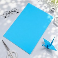 Papier d'impression couleur format A4, couleurs variées (rose, jaune citron, bleu), recto-verso, recyclable, pour usage bureautique