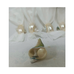 Concha de concha verde y blanca para proyectos de exhibición y escultura de concha por el proveedor de Vietnam 99 Gold Data - Product Image 6