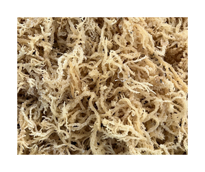 Algues de cotonii de qualité supérieure pour l'exportation, provenant du Vietnam - Texture dorée, forte teneur en gel, algues de cotonii 99 GD - Product Image 5