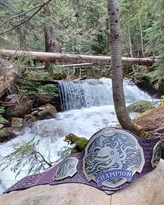 Ceinture de championnat professionnelle personnalisable, qualité supérieure, métal léger, taille personnalisée, personnalisation de la marque, logo personnalisé pour les sports - Product Image 3