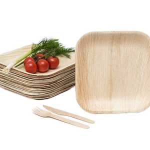 Assiettes carrées en feuille de palmier Areca jetables écologiques Vaisselle compostable naturelle pour servir - Product Image 1