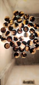 Botones de Cuerno de Búfalo para Blazers, Botones de Cuerno para Cierres Delanteros de Abrigos, Botones de Cuerno para Servicios de Sastrería Personalizada de HAND MADE CRAFT - Product Image 5