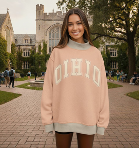 Pull à col montant surdimensionné en polyester/coton pour femmes, imprimé, poids lourd, hiver, personnalisé OEM, sororité Alpha Epsilon Pi Phi Sigma - Product Image 1