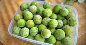 ผลไม้แช่แข็งคุณภาพส่งออก ดรากอนเมลอน จำหน่ายจำนวนมาก พร้อมบริการตัดและบรรจุภัณฑ์ตามความต้องการ - Product Image 3