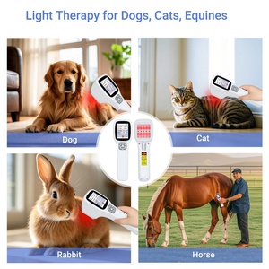 Zjzk Class IV Điều Trị <span class=keywords><strong>Laser</strong></span> Chuyên Nghiệp Cấp Ngựa Điều Trị <span class=keywords><strong>Laser</strong></span> Thiết Bị Để Giảm Đau Và Chữa Bệnh - Product Image 5