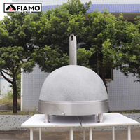 Mini four à pizza au gaz d'extérieur, construction en acier inoxydable et argile, capacité 50L, fonction de cuisson pour usage domestique et extérieur