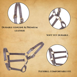 สายจูงม้าหนังแท้สีน้ำตาลสุดหรู สำหรับมืออาชีพ / รับทำโลโก้ / อุปกรณ์ขี่ม้าแบบตะวันตก งานพรีเมียม ปี 2026 - Product Image 4