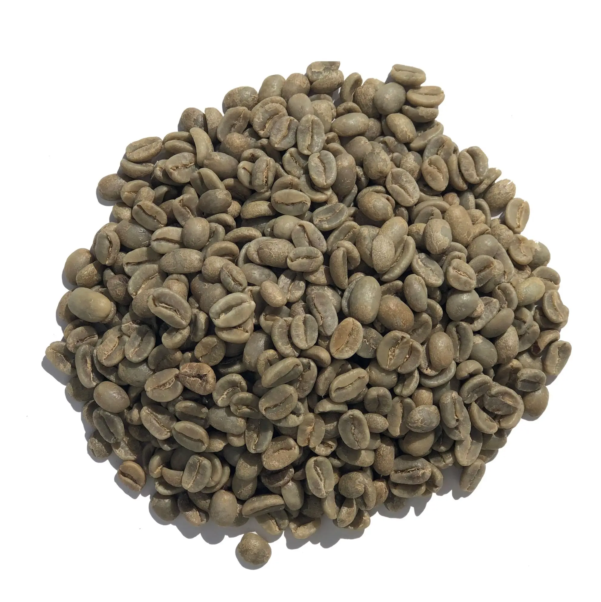 ベトナムコーヒー豆OEM安い価格コーヒー輸出業者アラビカロブスタブレンド生コーヒー豆を出荷する準備ができて