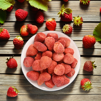 Premium 20+ Assortiment Gedroogd Fruit Individuele Pakjes Bulk, Elke smaak apart verpakt Aardbei Mango Dragonfruit Kiwi