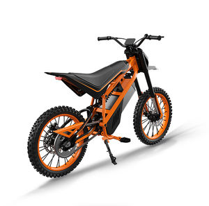Moto tout-terrain électrique Light Bee 2025, haute vitesse, hors route, EBike à vendre - Product Image 1