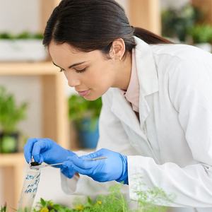 Ensemble d'instruments de remplissage composite dentaire, spatule à sonde, kit de dentisterie réparatrice, plateau en acier inoxydable - Product Image 2