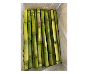 Jus de canne à sucre surgelé de qualité supérieure, origine Vietnam - Jus de canne à sucre frais pressé et surgelé pour les fabricants de boissons - Product Image 6