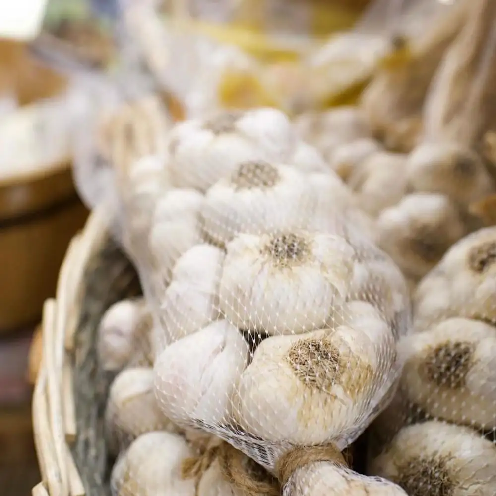 Aglio bianco fresco In 10 KG sacchetto a rete per la vendita/dove comprare aglio sano, verdure fresche sacchetti a rete