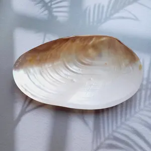 Luxurious White Lip Mother of Pearl Plate, Caviar Dish, Caviar Serving Plate Made of Shell For Home And Hotel From Vietnam