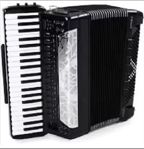 Acordeones V-Accordion FR-8X FR-8xb V- FR-18 Diatónico FR-1xb con Entrega a Domicilio a Precios Accesibles - Product Image 1