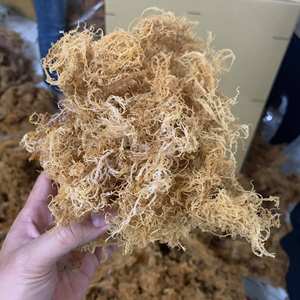 Pack en vrac de mousse de mer séchée du Vietnam, Eucheuma Cottonii, algue irlandaise dorée violette, Spinosum, sauvage, emballage personnalisé de marque - Product Image 1