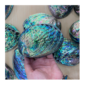 High-Quality <b>Abalone</b> <b>Shell</b> Vietnam, Natural Polished Surface, Shimmering Color for International Export Market - Product Image 1