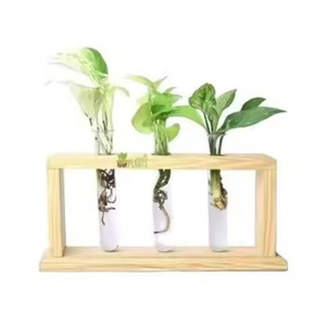 Nouveauté : Vase en bois avec tube en verre, pot de fleurs en tube à essai de haute qualité, vase moderne pour bourgeons de fleurs avec finition naturelle, décoratif - Product Image 1