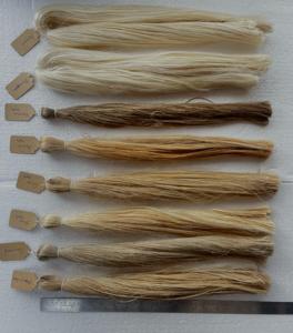 Fibra de cabello Natural hecha a medida para extensiones piña Aloe cáñamo soja Sisal algas Manila fibra de cabello Natural ecológica - Product Image 2