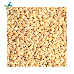 durum milling wheat
