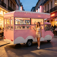 Anpassbarer Mobiler Elektrischer Food-Truck-Anhänger mit Gewerblicher Ausstattung für Ingwer-Kurkuma-Wellness-Shots, Fast Food und Eiscreme