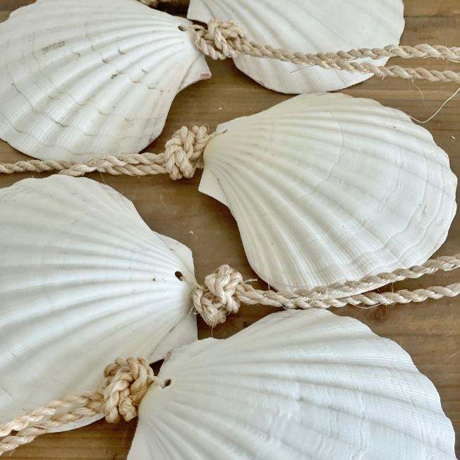 Conchiglie Di Capesante Naturali - 20 Pezzi, 6-8cm, Bianche, Per Decorazioni Nozze, Party A Tema Spiaggia E Fai-da-te - Foto 9
