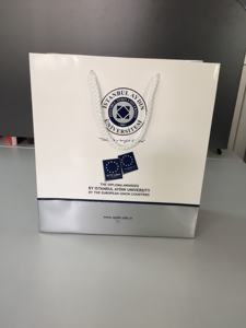 Sacs de transport personnalisés imprimés en offset, écologiques, recyclables et élégants pour l'emballage de boutiques (vente en gros) - Product Image 3