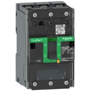 Categoria Prodotto Interruttore Sezionatore Schneider Electric C113050BS - Product Image 1