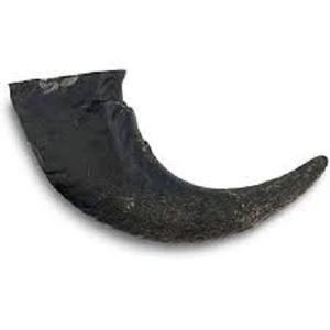 Friandise dentaire sculptée pour chien, 100 % naturelle, en corne de buffle d'eau, longue durée, provenance éthique, riche en protéines, faible en gras - Product Image 3