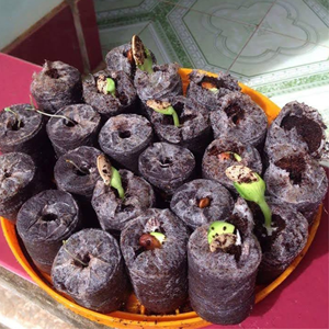 Vente en gros de granulés de tourbe de coco biodégradables-Coir Jiffy Top Quality Standard to Export from Viet Nam - Product Image 4