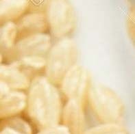 Riz japonica 5% brisé, grain court de qualité supérieure, qualité d'exportation, sacs de 25 kg - Product Image 2