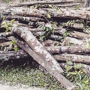 Qualité supérieure Luxe Doux Arôme Huile Essentielle Pur Oud Vietnam Agarwood Chips Composé de Bois Miel Cosmétiques Fourniture OEM - Product Image 5