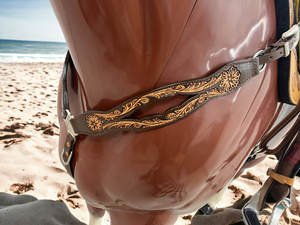 Cabestro y Pechera de Nailon de Alta Calidad para Caballo Occidental, Pechera de Cuero Cómoda para Caballo al Mejor Precio - Product Image 3