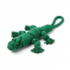 Owen, el Lagarto Verde, Juguete de Peluche con Cuerda para Masticar, Duradero, de 10 Pulgadas, Bonito y Ecológico, Juguete para Perros y Mascotas para Jugar en Interiores - Product Image 1
