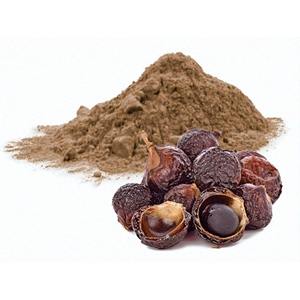Soapberry en polvo con gran cantidad de exportación, polvo de Extracto de nuez de jabón puro natural hecho en Vietnam - Product Image 1