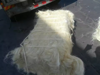 Achetez du chanvre naturel de haute qualité à 100 %, pour usage industriel, blanc, 130 cm, pur et fiable
