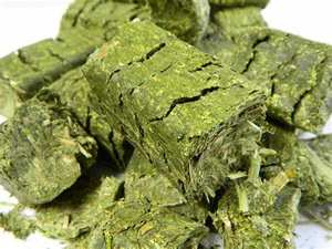 Pastilles de foin de luzerne biologique faciles à digérer pour l'alimentation animale au prix de gros - Product Image 4