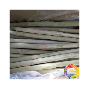 Caña de azúcar congelada fresca y dulce en bolsas de vacío Listo para usar Frescura de larga duración para fines culinarios y de jugo - Product Image 4